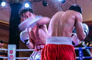 吃瓜娱乐拳击视频 第1张 吃瓜娱乐拳击视频 第1张